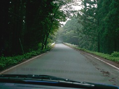 ����ɓo��